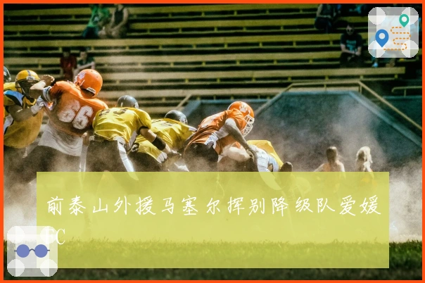 前泰山外援马塞尔挥别降级队爱媛FC