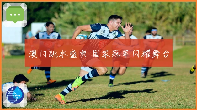 澳门跳水盛典 国家冠军闪耀舞台