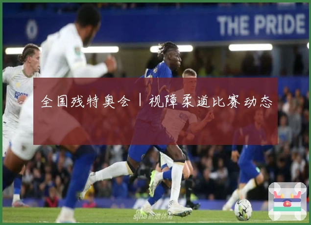 全国残特奥会｜视障柔道比赛动态